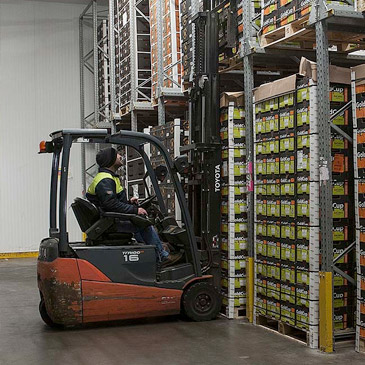 Warehouse picking - FerryFast Logistics