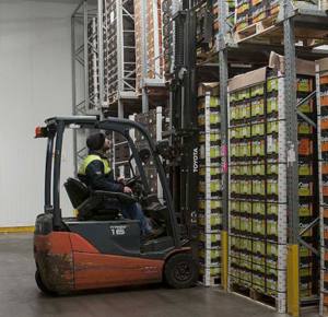 Warehouse Operative at FerryFast